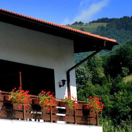 Spa Hotel Planinata Ribarica Quarto foto