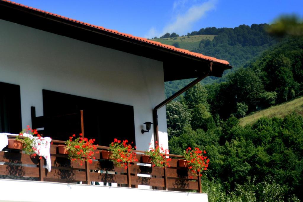 Spa Hotel Planinata Ribarica Quarto foto
