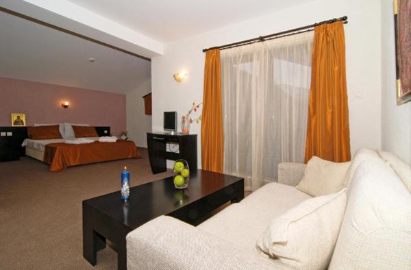 Spa Hotel Planinata Ribarica Quarto foto